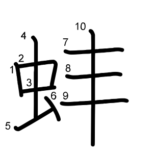 蚌