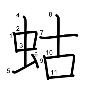 蛄