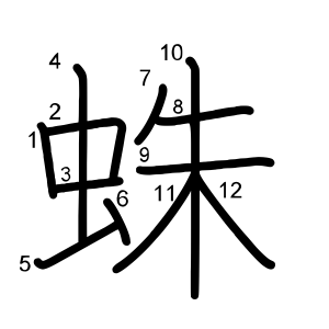蛛
