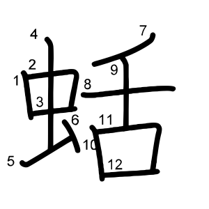 蛞