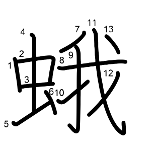 蛾