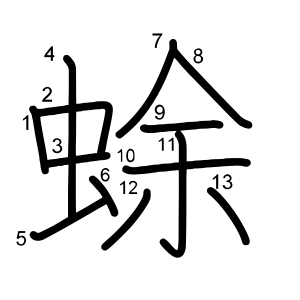 蜍