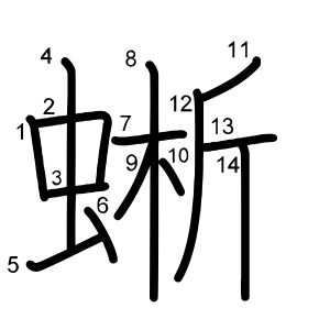 蜥