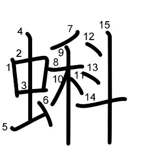 蝌