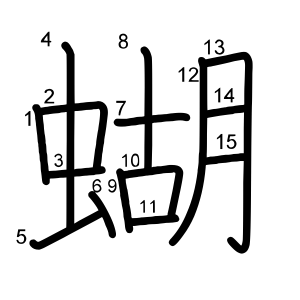 蝴