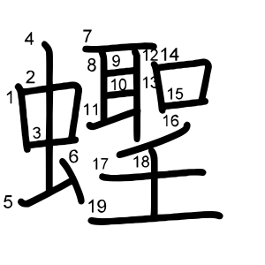蟶