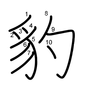 豹
