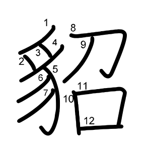 貂