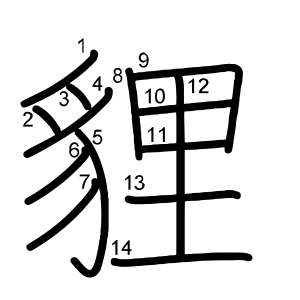 貍