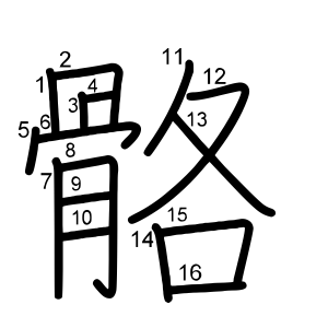 骼