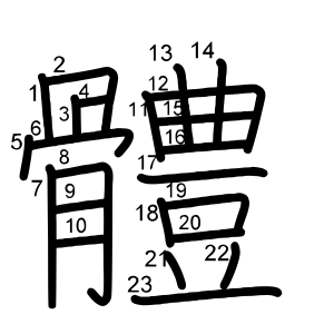 體