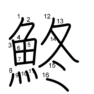 鮗