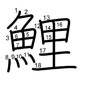 鯉
