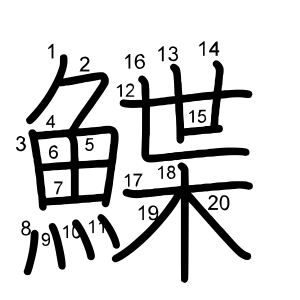 鰈
