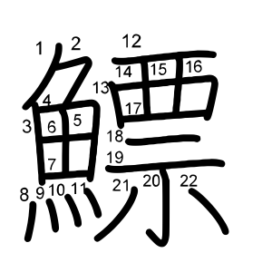 鰾