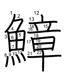鱆