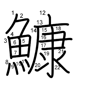 鱇