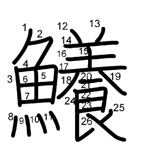 鱶
