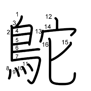 鴕